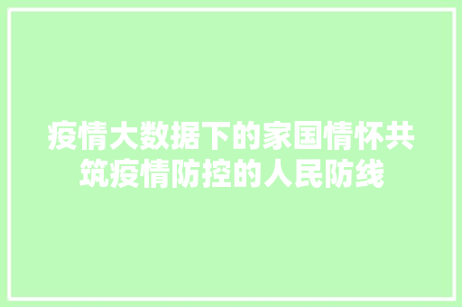 疫情大数据下的家国情怀共筑疫情防控的人民防线