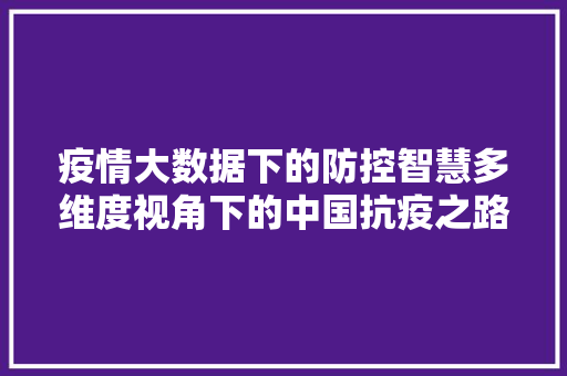 疫情大数据下的防控智慧多维度视角下的中国抗疫之路