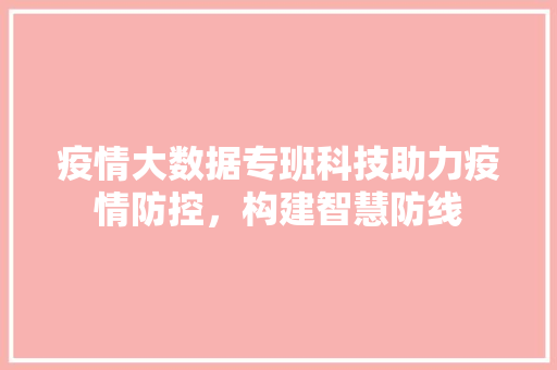 疫情大数据专班科技助力疫情防控，构建智慧防线