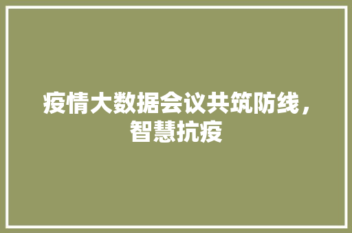 疫情大数据会议共筑防线，智慧抗疫