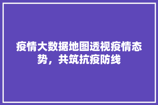 疫情大数据地图透视疫情态势，共筑抗疫防线