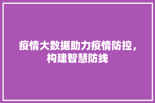 疫情大数据助力疫情防控，构建智慧防线