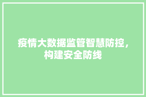 疫情大数据监管智慧防控，构建安全防线