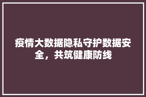 疫情大数据隐私守护数据安全，共筑健康防线