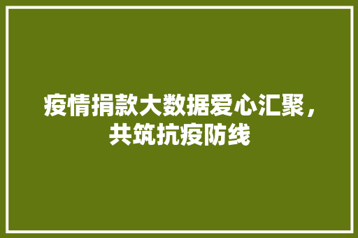 疫情捐款大数据爱心汇聚，共筑抗疫防线