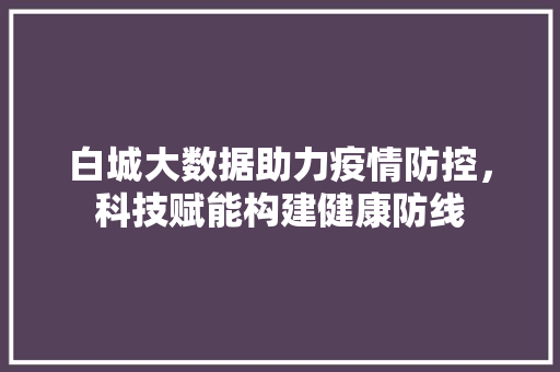 白城大数据助力疫情防控，科技赋能构建健康防线