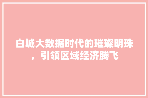 白城大数据时代的璀璨明珠，引领区域经济腾飞