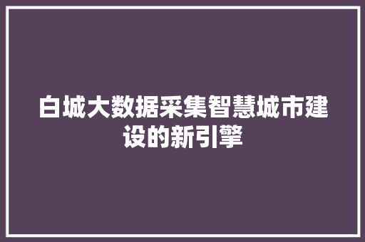 白城大数据采集智慧城市建设的新引擎