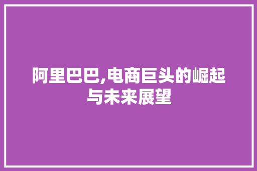 阿里巴巴,电商巨头的崛起与未来展望 后端技术