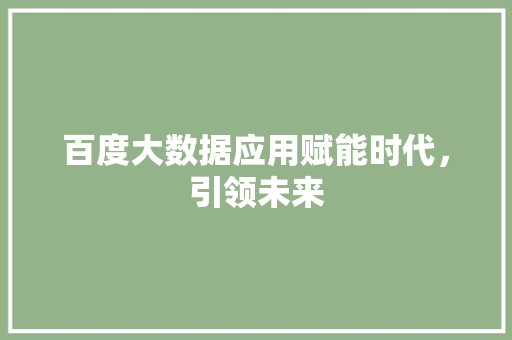 百度大数据应用赋能时代，引领未来