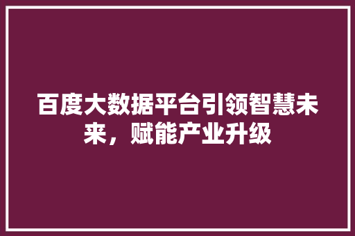 百度大数据平台引领智慧未来，赋能产业升级