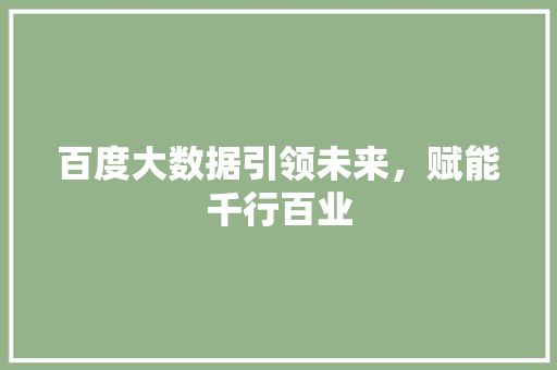 百度大数据引领未来，赋能千行百业