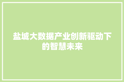 盐城大数据产业创新驱动下的智慧未来