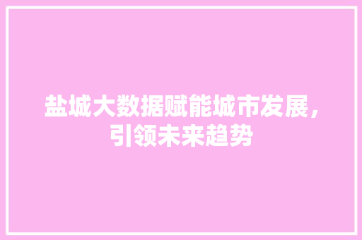 盐城大数据赋能城市发展，引领未来趋势