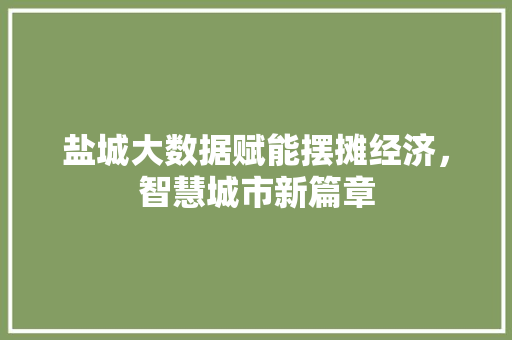 盐城大数据赋能摆摊经济，智慧城市新篇章