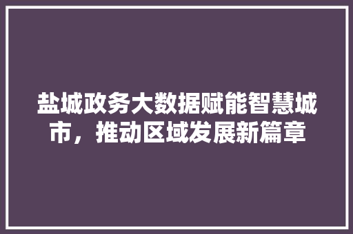 盐城政务大数据赋能智慧城市，推动区域发展新篇章