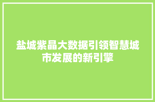 盐城紫晶大数据引领智慧城市发展的新引擎