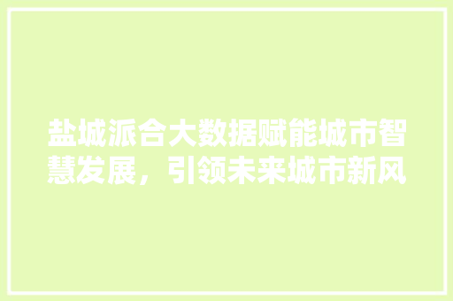 盐城派合大数据赋能城市智慧发展，引领未来城市新风尚