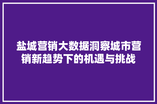 盐城营销大数据洞察城市营销新趋势下的机遇与挑战