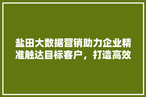 盐田大数据营销助力企业精准触达目标客户，打造高效营销新格局