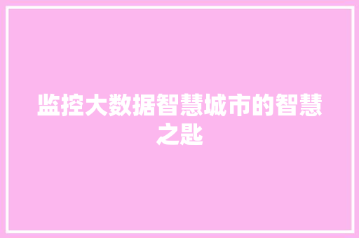 监控大数据智慧城市的智慧之匙