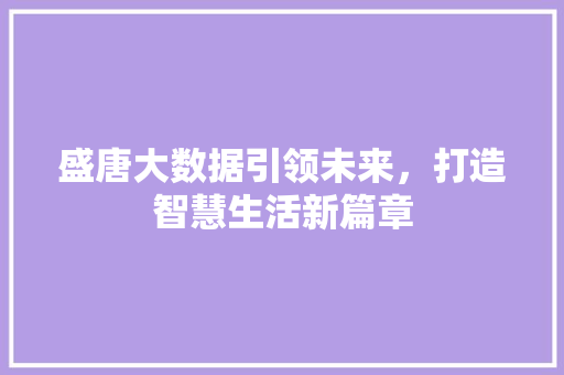 盛唐大数据引领未来，打造智慧生活新篇章