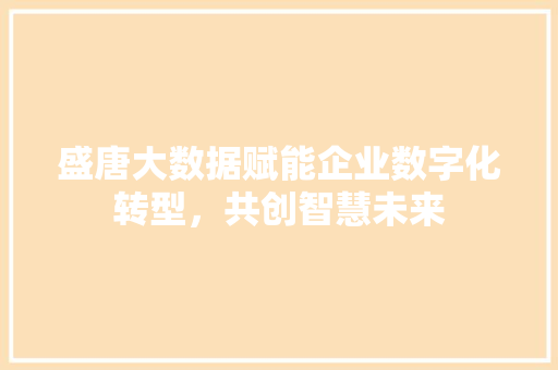 盛唐大数据赋能企业数字化转型，共创智慧未来