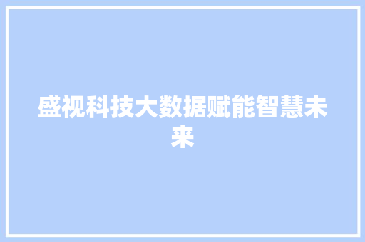 盛视科技大数据赋能智慧未来