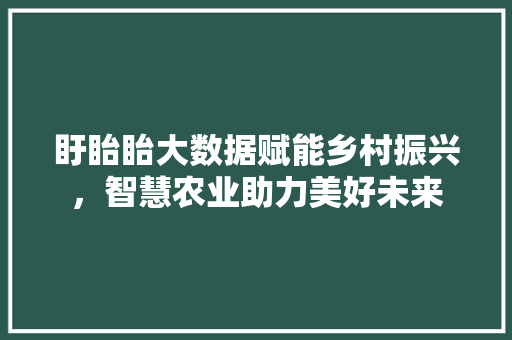 盱眙眙大数据赋能乡村振兴，智慧农业助力美好未来