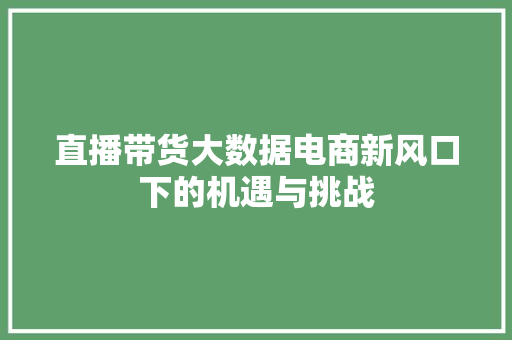 直播带货大数据电商新风口下的机遇与挑战