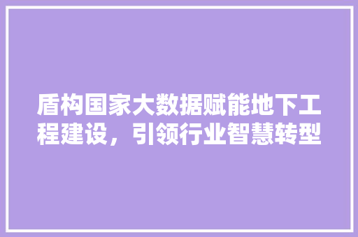 盾构国家大数据赋能地下工程建设，引领行业智慧转型