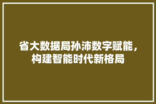 省大数据局孙沛数字赋能，构建智能时代新格局