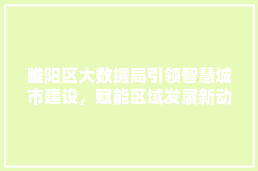 睢阳区大数据局引领智慧城市建设，赋能区域发展新动能