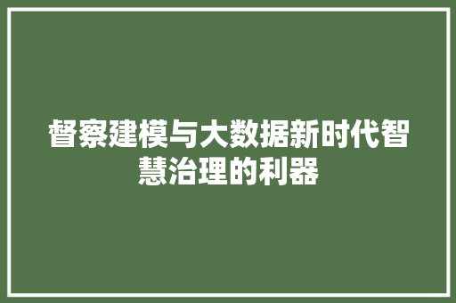 督察建模与大数据新时代智慧治理的利器