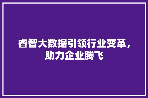 睿智大数据引领行业变革，助力企业腾飞
