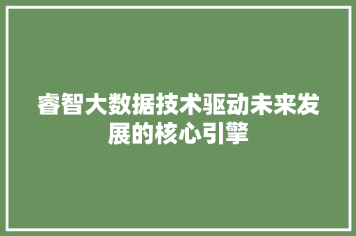 睿智大数据技术驱动未来发展的核心引擎