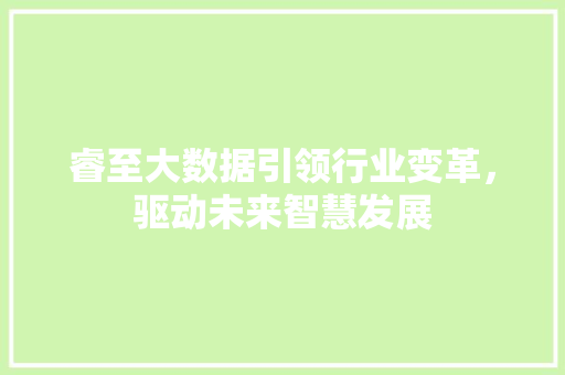 睿至大数据引领行业变革，驱动未来智慧发展