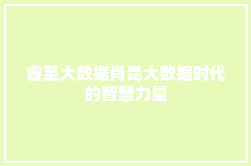 睿至大数据肖昆大数据时代的智慧力量