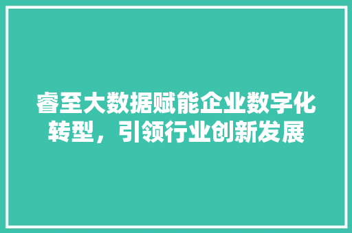 睿至大数据赋能企业数字化转型，引领行业创新发展