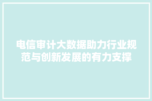 电信审计大数据助力行业规范与创新发展的有力支撑