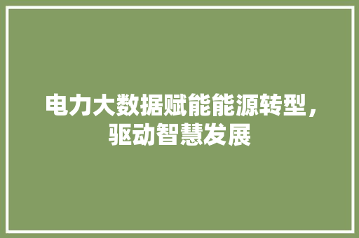 电力大数据赋能能源转型，驱动智慧发展