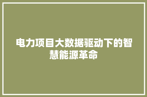 电力项目大数据驱动下的智慧能源革命