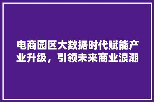 电商园区大数据时代赋能产业升级，引领未来商业浪潮