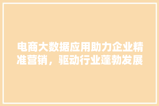 电商大数据应用助力企业精准营销，驱动行业蓬勃发展