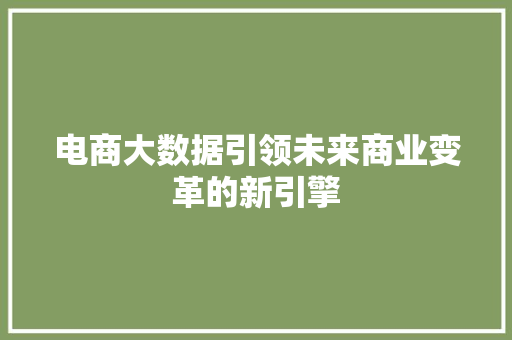 电商大数据引领未来商业变革的新引擎