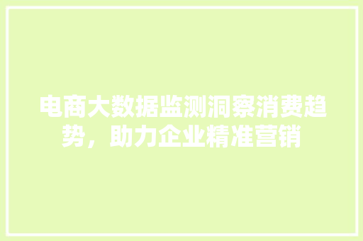 电商大数据监测洞察消费趋势，助力企业精准营销