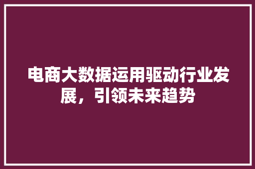 电商大数据运用驱动行业发展，引领未来趋势