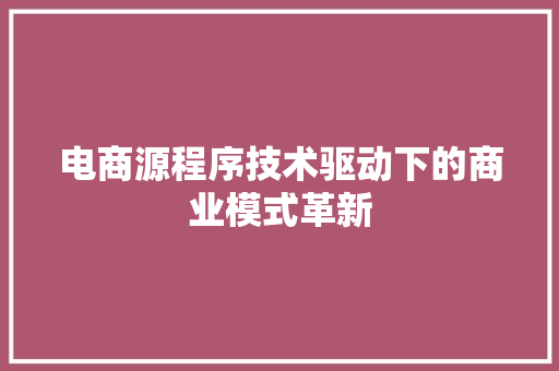 电商源程序技术驱动下的商业模式革新