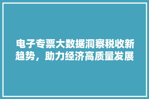 电子专票大数据洞察税收新趋势，助力经济高质量发展