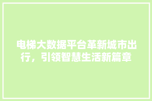 电梯大数据平台革新城市出行，引领智慧生活新篇章